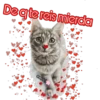 De q te reis mierda
cokki