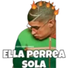 SOYCHOOQOMILO
ELLA PERREA
SOLA