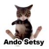Gatitozzz 17