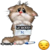 Gatitos tiernos 24