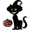Halloween black cat 22