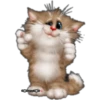 Gatitos tiernos 25