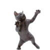 Stickers Pro 5