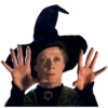 Harry Potter 2 5