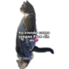 Yo Viendo Como... 5