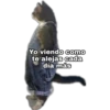 Yo Viendo Como... 6