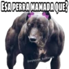 ESA PERRA MAMADA QUE?
@oyesss_batman