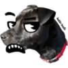 MASCOTAS MSG 5