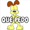 QUE PEDO
52