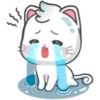 Snowy Cat 8