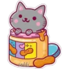 cokki