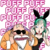 Dragon Ball 10