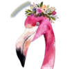 VONY
