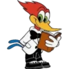 pájaro loco 5