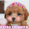 СОККО
BABE
ESTOY CHIQUITA