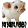VODY
TOY SOLITO, Vienes?