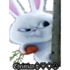 ChristianV