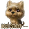 AQUÍ ESTOY!
Vony