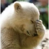 Facepalm 10