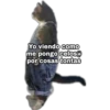 Yo Viendo Como... 7