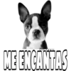 20
ZUOA
ME ENCANTAS