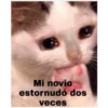Mi novio
estornudó dos
veces