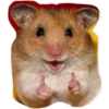 hamster 8