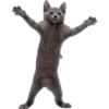 Stickers Pro 12