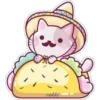 cokki
