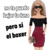 no te puedo
bajar la luna
pero si
el boxer