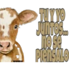 Vony
Em
JUNTOS.com
nose
PieNSALO