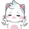 Snowy Cat 12