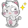 Snowy Cat 13