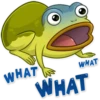 George the funny frog 8