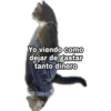 Yo Viendo Como... 10