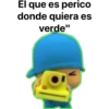 pocoyo (Dani) 17