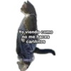 Yo Viendo Como... 11