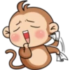 Monkey Genesis 1 14