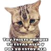 Random 12