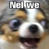 Nel we