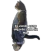 Yo Viendo Como... 12
