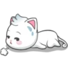 Snowy Cat 14