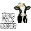 Vámonos
VACADE
VACACIONES?
VONY