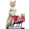 Random 15