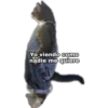 Yo Viendo Como... 13