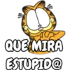 QUE MIRA
ESTUPID@