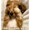 cokki
no quiero ver