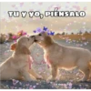 TU Y YO, PIENSALO
50.