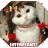 INTERESANTE