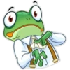 Mr. Frog 17
